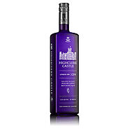 Buy Top Brands Gin Online in USA at Reup Liquor