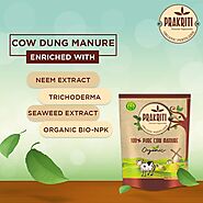 cow dung fertilizer