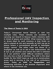 Professional UAV Inspection and Monitoring
