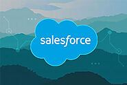 Salesforce Admin Training and Placement