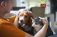 Can You Buy Pet Insurance for All Your Pets? - Jack Stone Insurance Agency