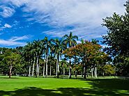 Explore the Brisbane City Botanic Gardens