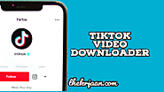 Top TikTok Video`s Downloader Free | TikTok Without Watermark