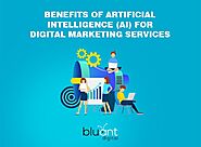 Creative Ad & Digital Marketing Agency - Blueantz Advertising Private Limited