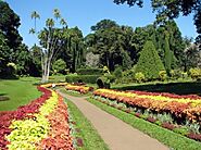 Royal Botanic Gardens