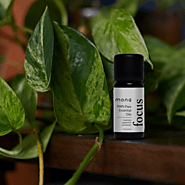 Best Aromatherapy Focus Bottled Blend Online At MONQ