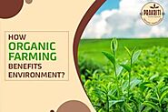 Best Fertilizer For Plants in India- Organic Prakriti