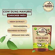 cow manure as fertilizer
