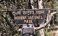 Website of Dudhwa National Park | Dudhwa Tiger Reserve