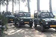 Dudhwa National Park | Wildlife Jungle Jeep Safari