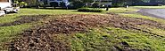 Stump Grinding & Removal Auckland