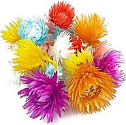 Floralcraft 200g Helychrysum Flowers Heads - Mixed Colour - Everlasting Dried Flowers Heads for Wedding Party Gift Ho...