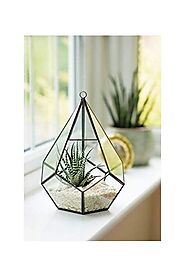 Teardrop Terrarium - Black (h26 x w17cm) - Michael Dark