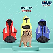 Dog Clothes Online – Zigly