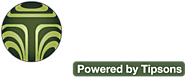 The fixed income