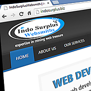 Web development-custom ecommerce website development services