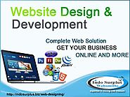 Hire Website Design Company in India - indosurplus