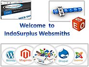 Website content writing services - indosurplus
