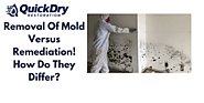 Removal Of Mold Versus Remediation! How Do They Differ?