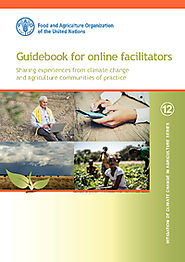 Guidebook for Online Facilitators