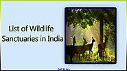 List of Wildlife Sanctuaries in India in State Wise Format