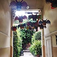 Alebrije masks in La Roma entranceway