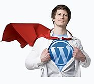 Benefits of Wordpress Development for Business Website
