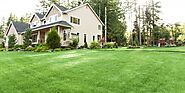Make Your Yard Beautiful with Professional Lawn Care Services