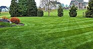 5 Fall Lawn Care Tips - Healthy Lawn