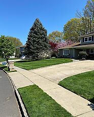 Best Landscaping and Lawncare Ideas for Your Yard in 2023