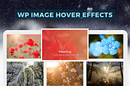How to Add Visual Appeal to WordPress with Hover Effect - Flipper Code