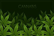 Where To Buy Marijuana Online In California?