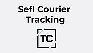 Sefl Tracking Southeastern Freight Lines Courier online tracking