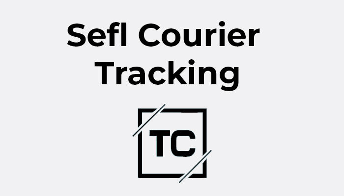 7808758 Sefl Tracking Southeastern Freight Lines Courier Online Tracking 600px ?ver=6596889272