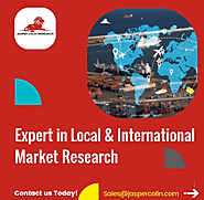 Global Market Research Solutions to Your Business