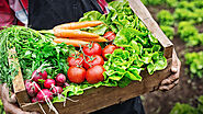 Buy Organic Food Products Online | Mumbai | Zama Organics