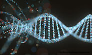 Đột biến gen là gì? Nguyên nhân và ý nghĩa của đột biến gen