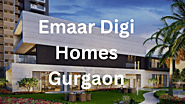 How to Avouid Emaar Digi Homes Business From Dumb Mistake – Dwarka Expressway Real Estate Projects