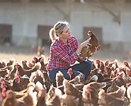 About Us | Ngyenmbofarm Poultry & Livestock .LLC