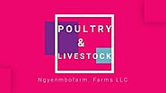 iframely: Ngyenmbofarm Livestock Poultry & Agriculture LLC.