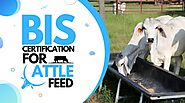 BIS Certification For Cattle Feed | ISI and FMCS Certification Process | JR Compliance Blogs