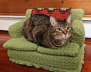 Bored During Quarantine? Why Not Make Tiny Crochet Couches For Cats