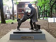 Hachiko The Heartbreaking Story of This Loyal Dog Breed