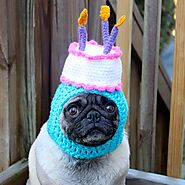 Sad Pug Wearing Hilarious Crocheted Hats