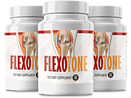 Flexotone™ (Official) | Buy Joint Supplement- $49/Bottle