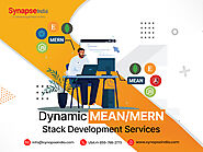 Dynamic MEANMERN Stack Development Services