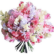 Delivered Flowers | Shop Luxury Pastel Sweet Pea Bouquet