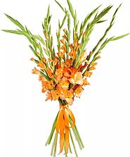 Shop Luxury Orange Gladiolus Wedding Bouquet - Delivered Flowers