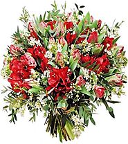 Fresh Funeral Red Bouquet and Flowers | Delivered Flowers
