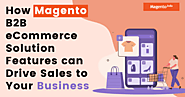 How Magento B2B eCommerce Solution Features can Drive Sales to Your Business